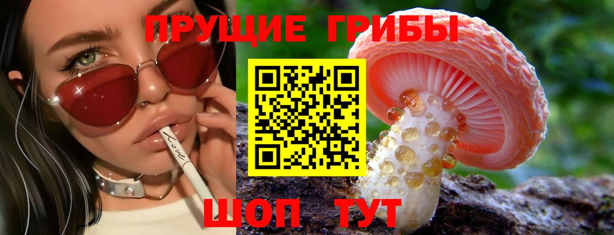 Серпухов  Псилоцибиновые грибы MAGIC MUSHROOMS  Вход с VPN 